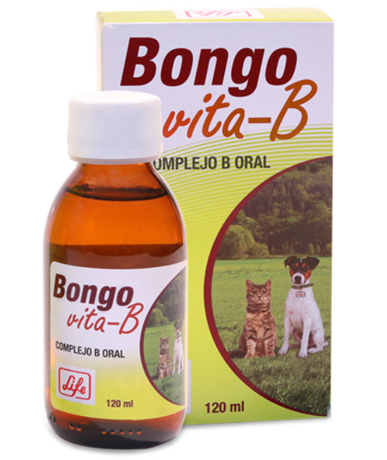 BONGO VITA-B