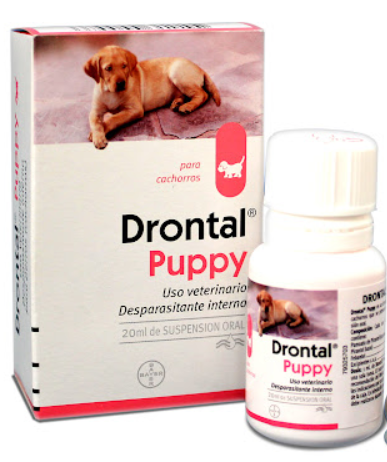 DRONTAL PUPPY