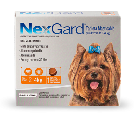 NEXGARD 2-4KG